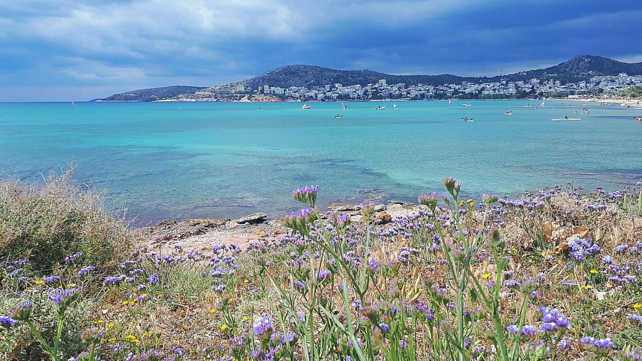 Alianthos Beach Apartment Βάρη Εξωτερικό φωτογραφία