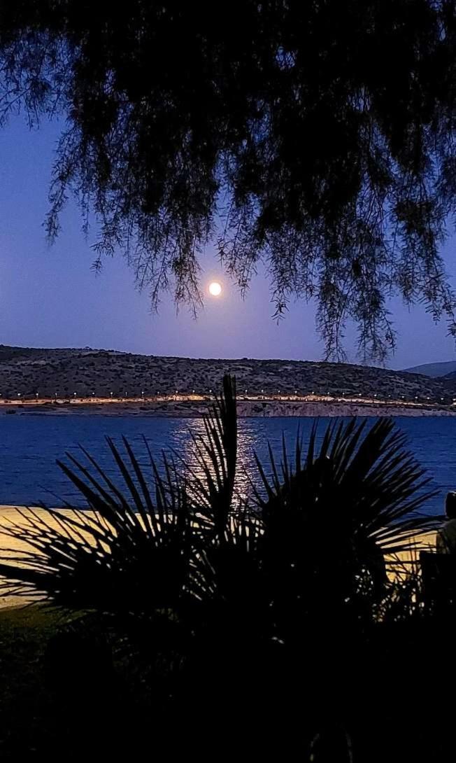 Alianthos Beach Apartment Βάρη Εξωτερικό φωτογραφία