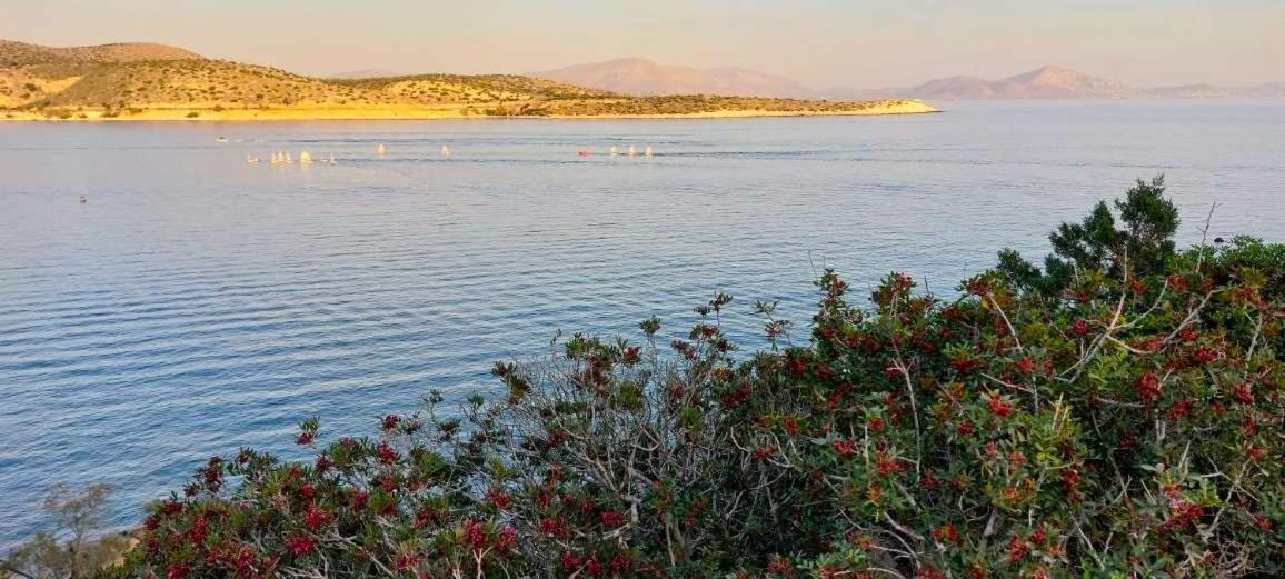 Alianthos Beach Apartment Βάρη Εξωτερικό φωτογραφία