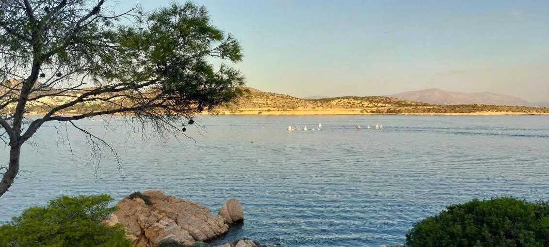 Alianthos Beach Apartment Βάρη Εξωτερικό φωτογραφία